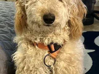 AZ Medical Weight Control