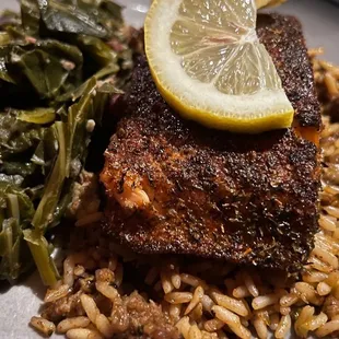 Salmon