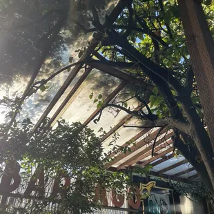 Back patio vibe