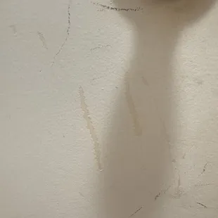 The door where the a dog destroyed this room room