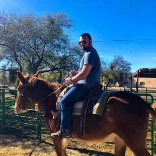 Not bad for the first time in over a decade!