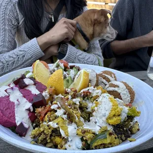 Falafel bowl