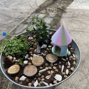 Fairy garden made at Heartfelt