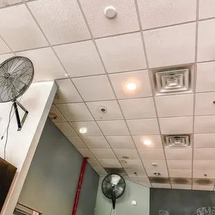 Ceiling Indoor