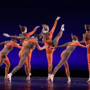 Pridelands- The Ballet Alliance Festival