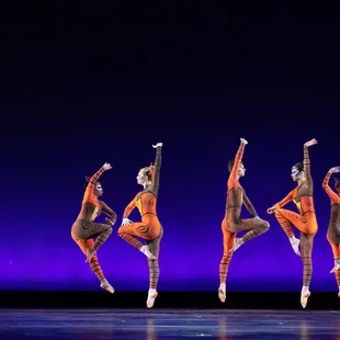 Pridelands- The Ballet Alliance Festival