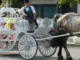 Mj Carriage Service
