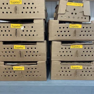 Pre-orders boxed up and ready to go to one of our Chick Day Events in Topeka, KS