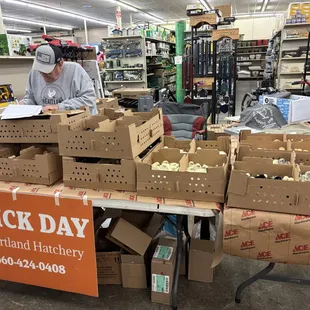 One of our Chick Day events in Emporia KS