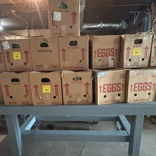 Hatching Eggs from our flock owners ready to be put in trays and put in the incubator.