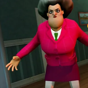 My mean teacher description