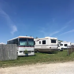 Weeds growing out of a motorhome in the storage lot!