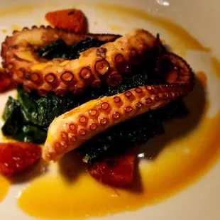 Polpo Tocco Toscano