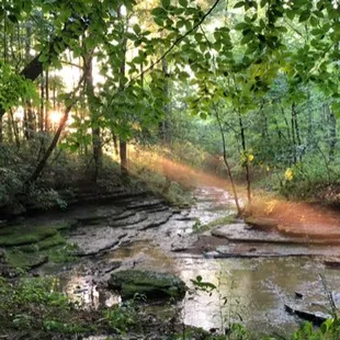 The natural light will creat beautiful, professional level photos every time.