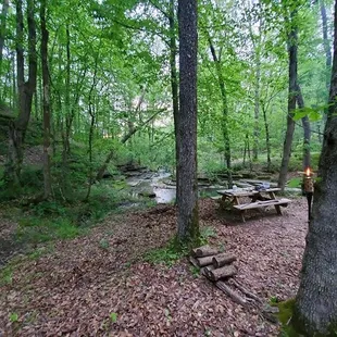 Campsite #10 is set apart from the rest of the tent camping sites-bordered by water on 3 sides