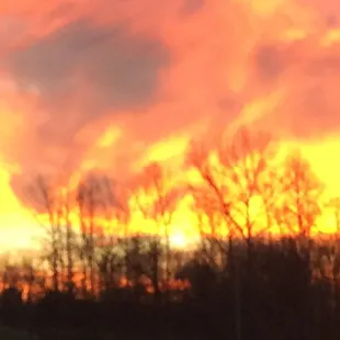 No Photoshop required...