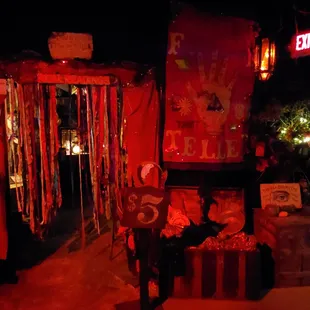 Fortune teller/ tarot reading