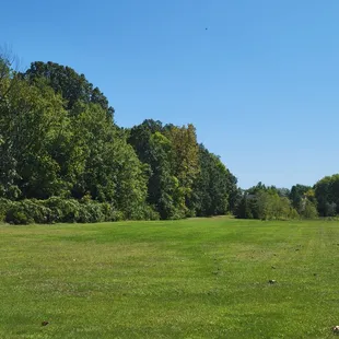 Greenspace, with wetland/pond area on the far side