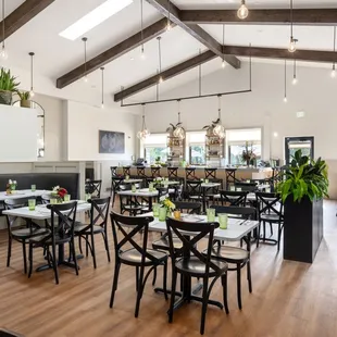 ramen and noodles, interior