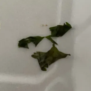 Old cilantro in the food