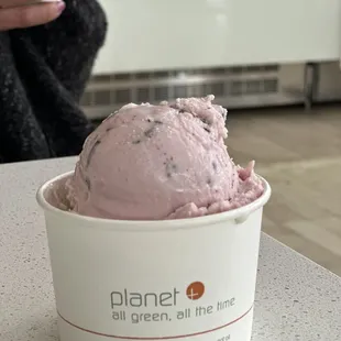 Raspberry Dark Chocolate Gelato