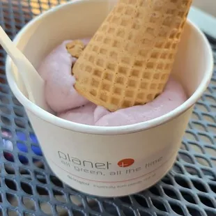 Single Scoop Mixed Berry with Coconut milk