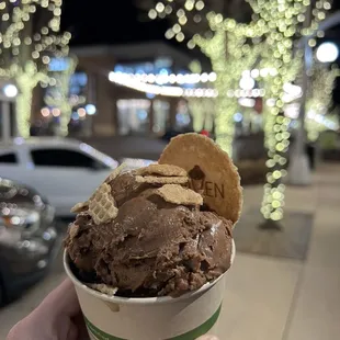 Mocha diary free ice cream