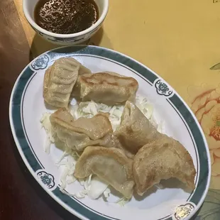 Pork Fried Dumplings