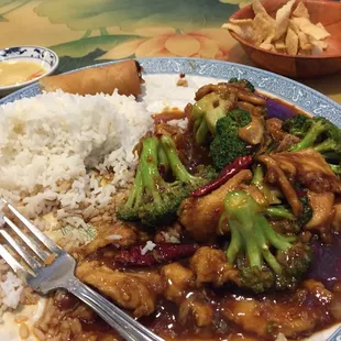 Chicken with broccoli, spicy.