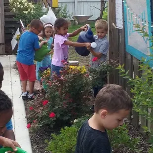 Watering the flowers.
