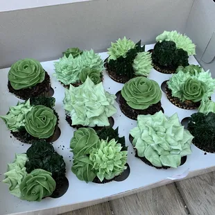 Succulent cupcakes