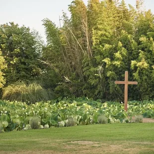 The grounds are beyond spectacular