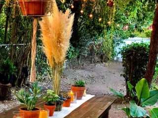 Glass House Garden