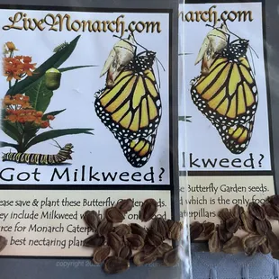 Butterfly food flowers