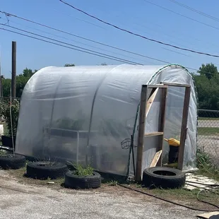 Outside greenhouse for her flowers and herbs.