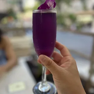 Butterfly Mimosa ($12)