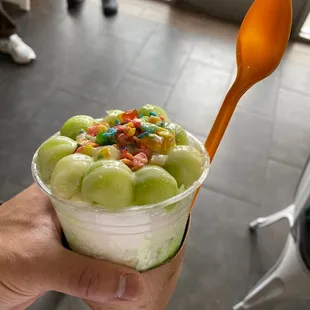 Honey Dew / Winter Melon ??