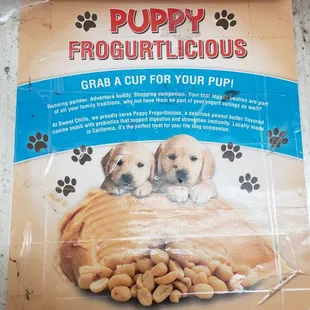 Dog ice cream?? How cool is that!?