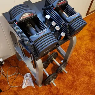 Powerblock Pro Exp! Awesome.