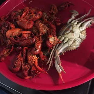Crawfish and a crab full of eggs and fat