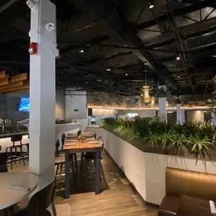 interior, sushi and sashimi