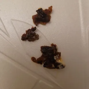 This was in my shrimp taco. What is it?