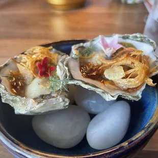Kumamoto Oysters