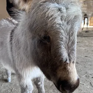 My favorite friend I made there.