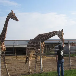 Playing with Benjamin.