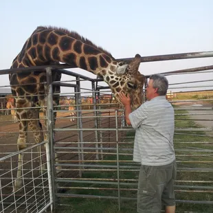 My Husband with Ben -- their 14 year old Giraffe (their Male Stud).
