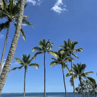 He'eia State Park