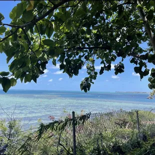 You can see the reef from the grassy area behind the banquet hall.