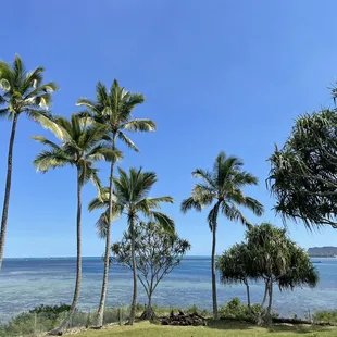 Quick bathroom stop with views if you take a quick walk behind the visitors/bathroom buildings