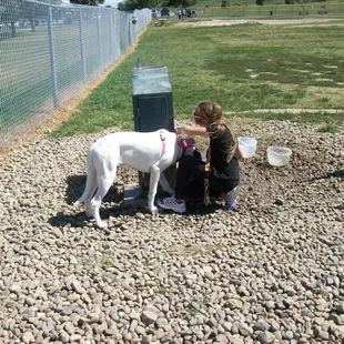 Our dog Chloe with my daughter, getting water from the doggy water fountain